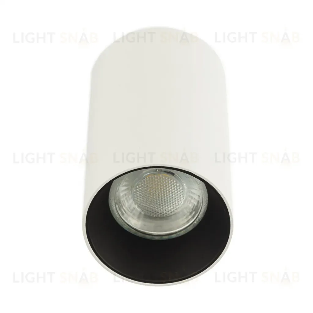 Накладной светильник Citilux Axel CL512110 CL512110