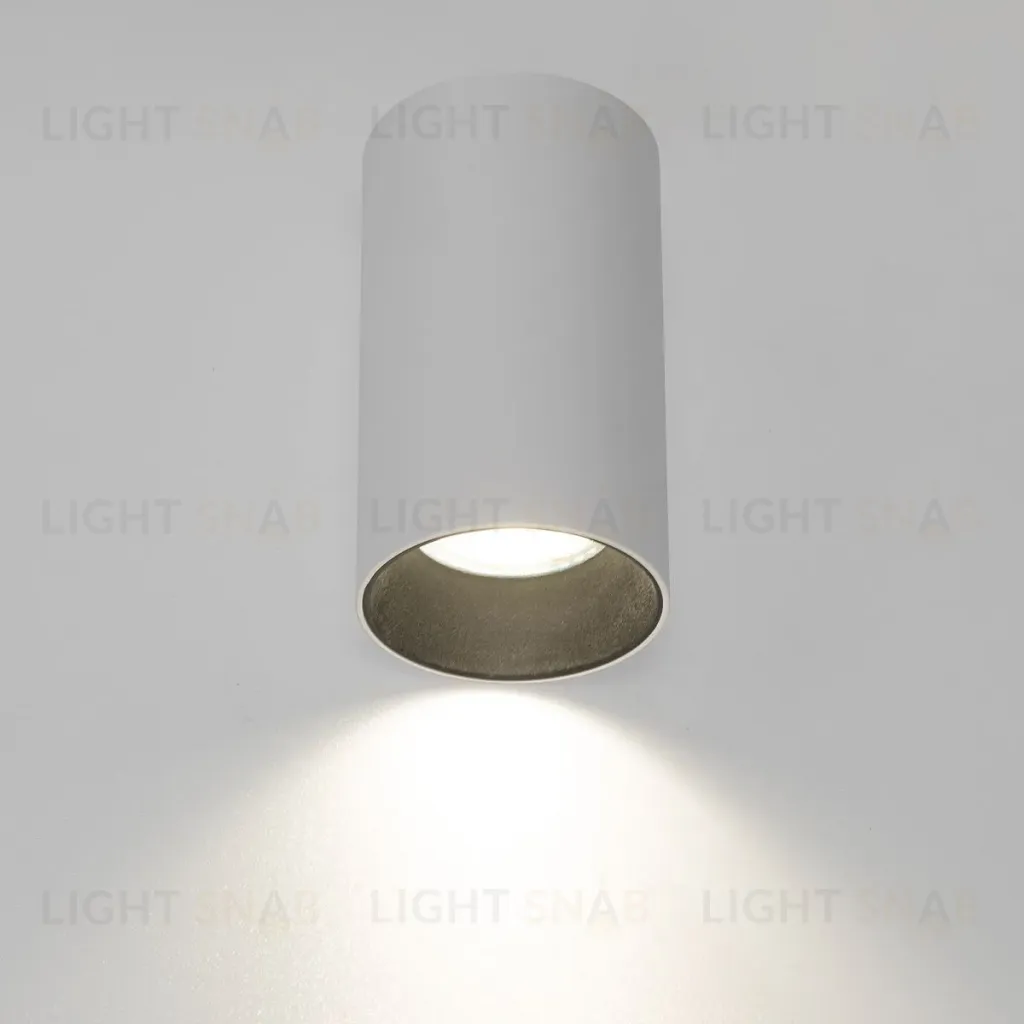 Накладной светильник Citilux Axel CL512110 CL512110