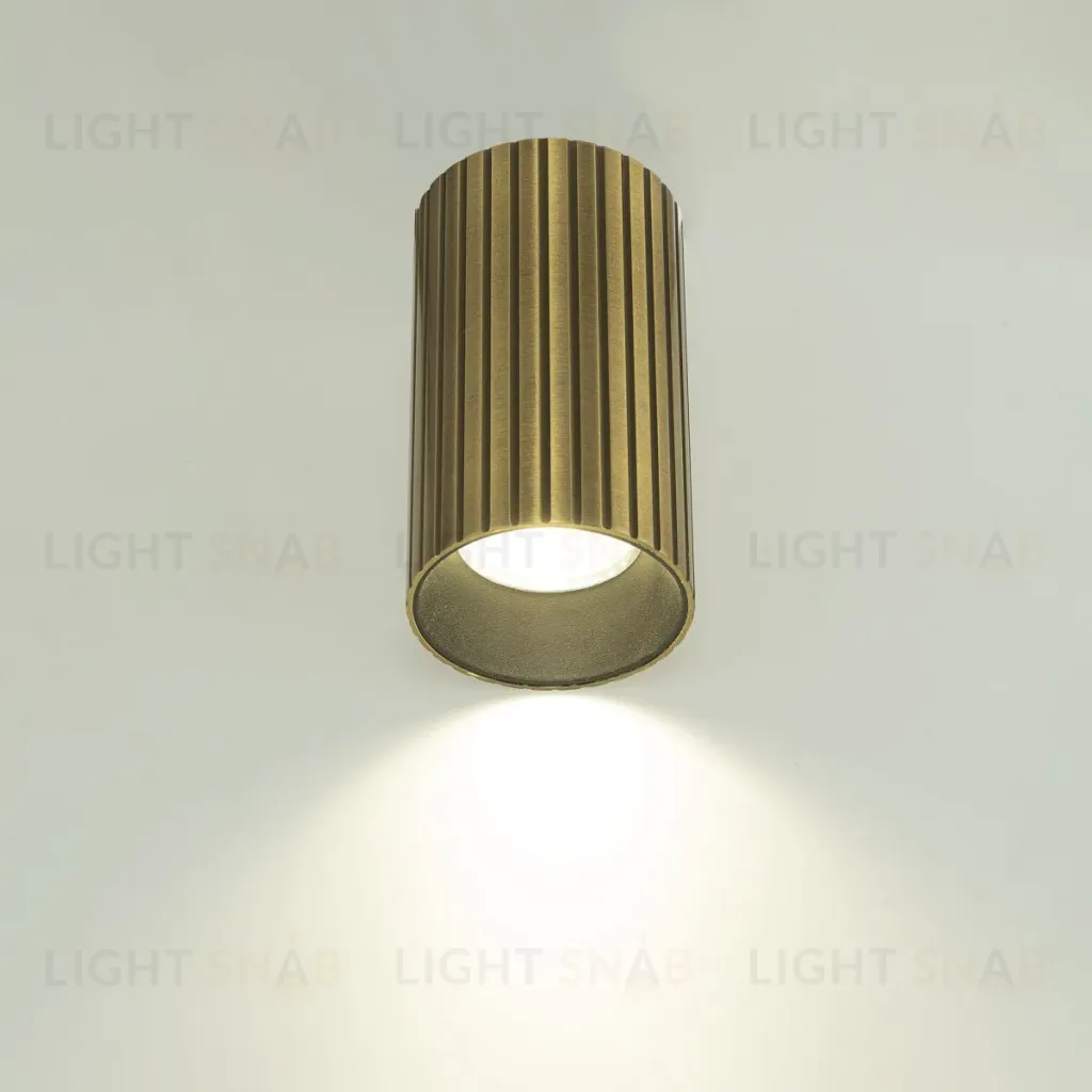 Накладной светильник Citilux Axel CL512113R CL512113R
