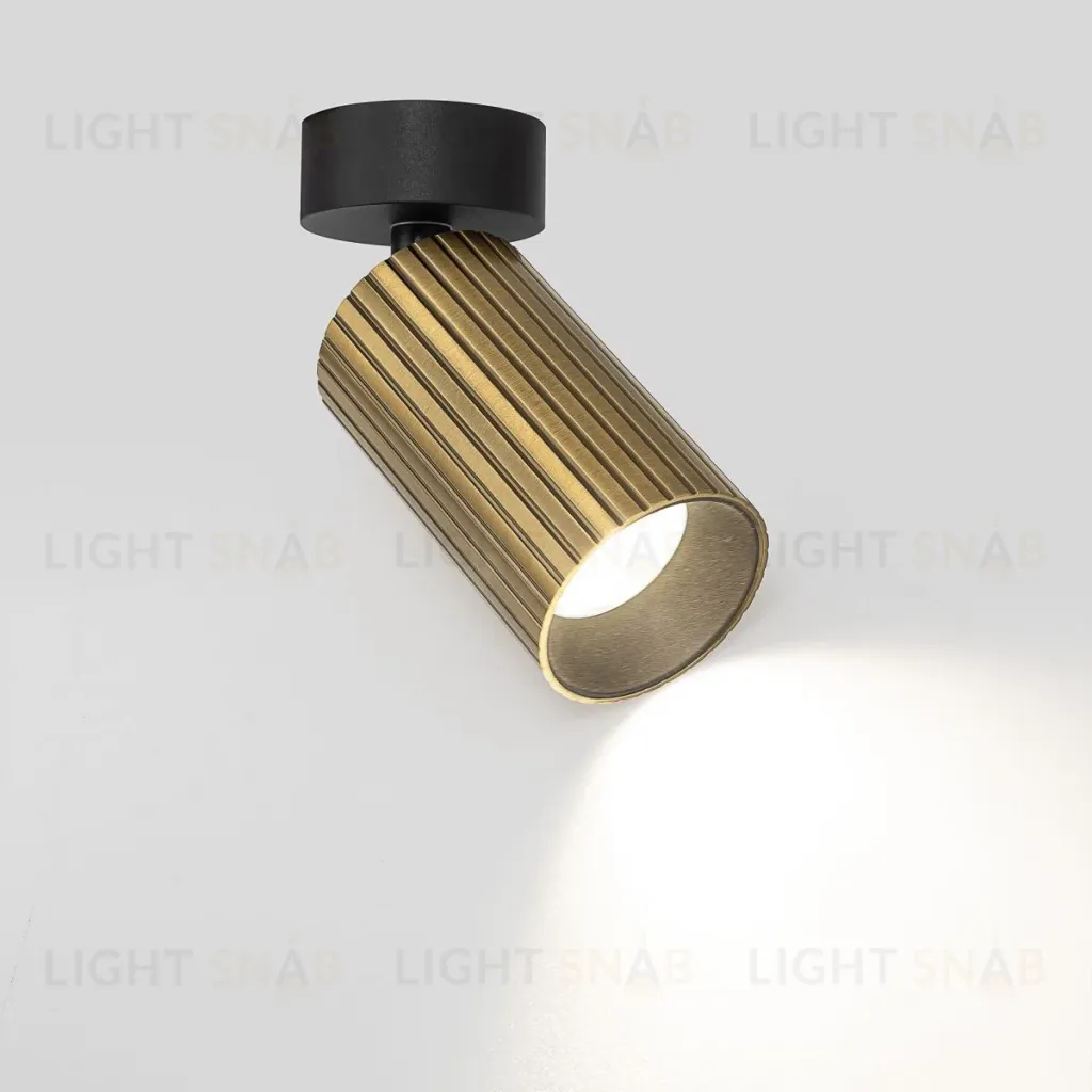 Накладной спот Citilux Axel CL512213R CL512213R