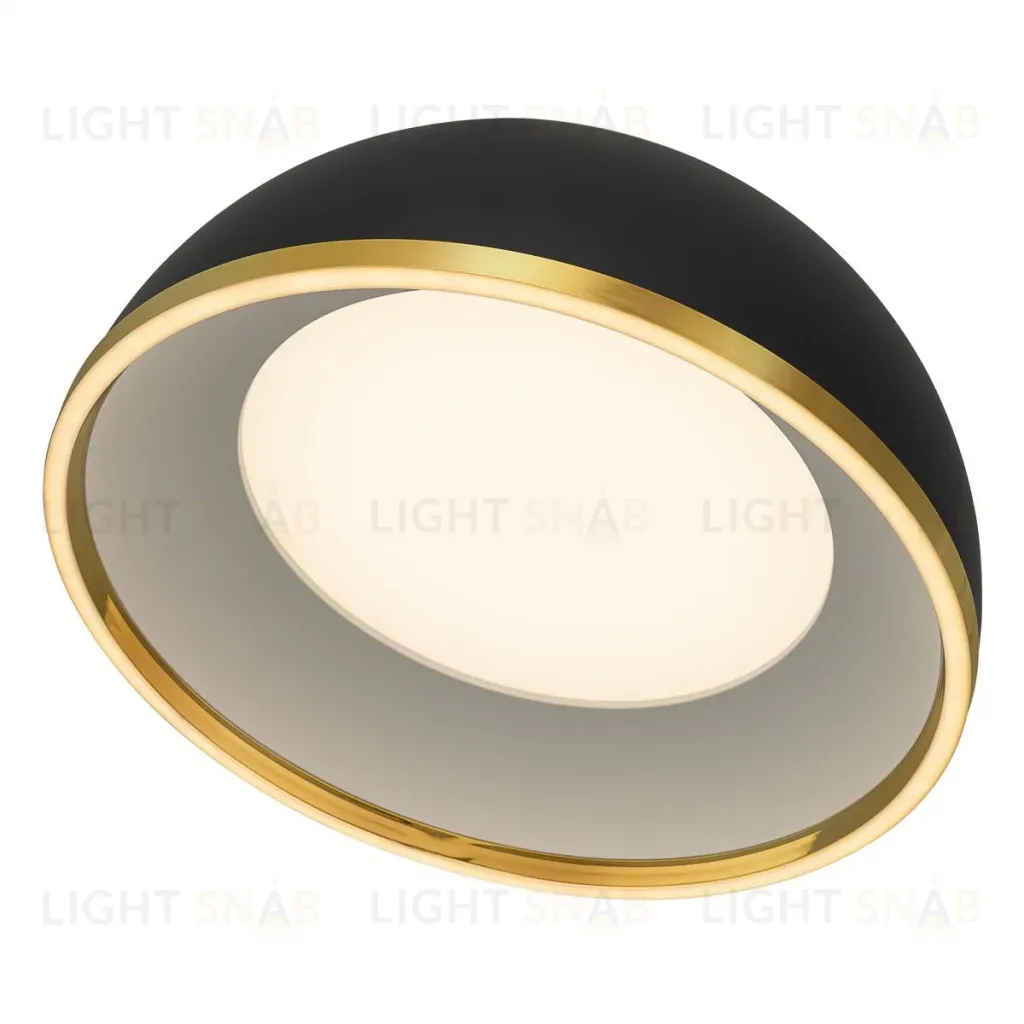 Потолочный светильник Citilux Floom CL736151 CL736151
