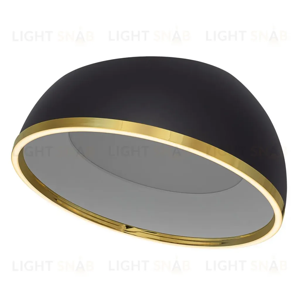 Потолочный светильник Citilux Floom CL736151 CL736151