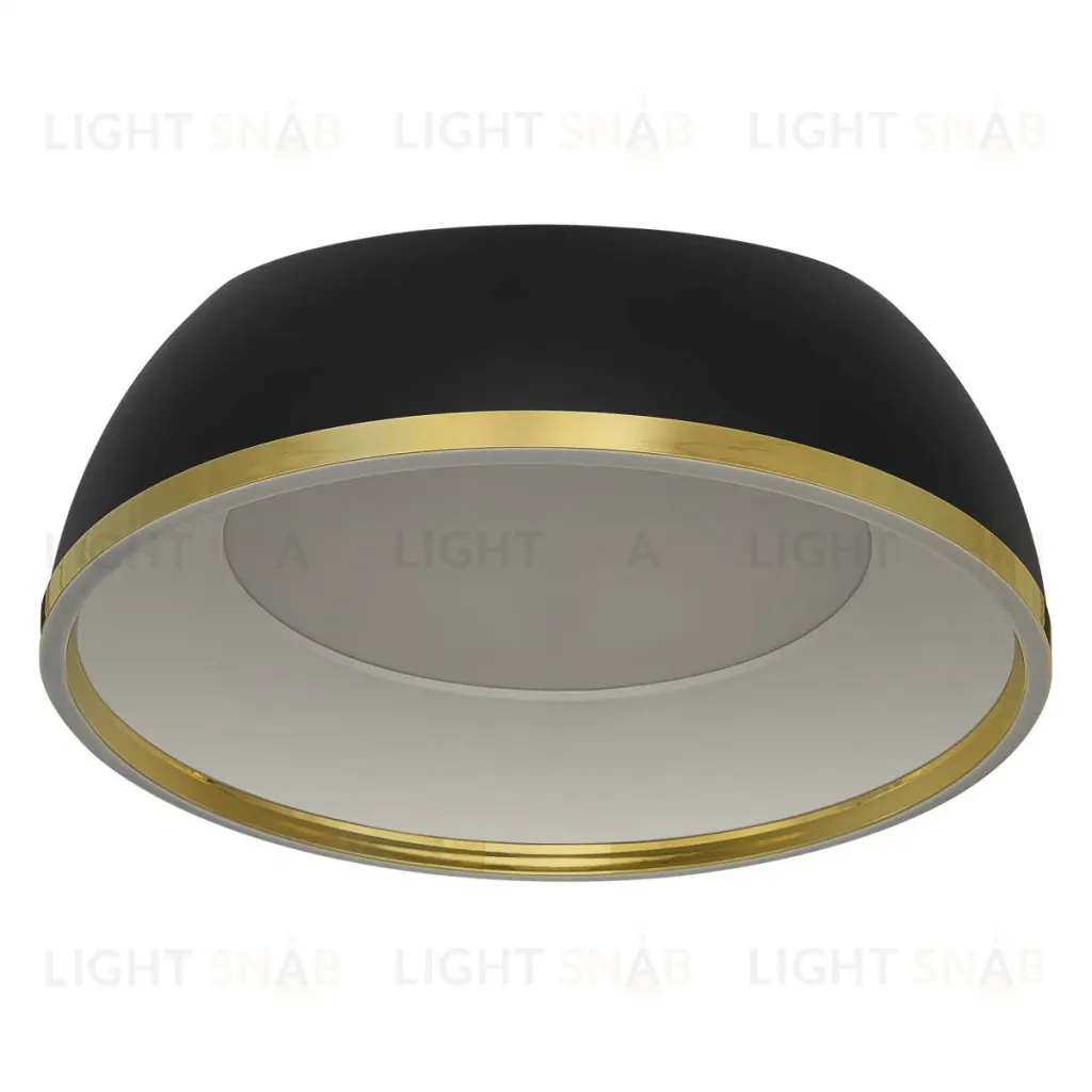 Потолочный светильник Citilux Floom CL736151 CL736151