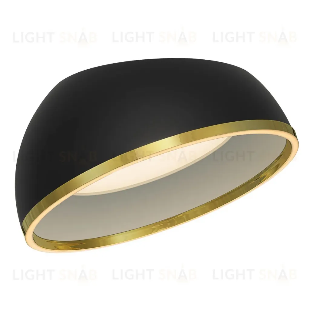 Потолочный светильник Citilux Floom CL736151 CL736151