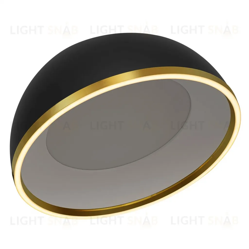 Потолочный светильник Citilux Floom CL736151 CL736151