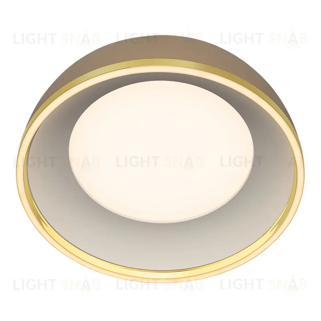 Потолочный светильник Citilux Floom CL736152 CL736152