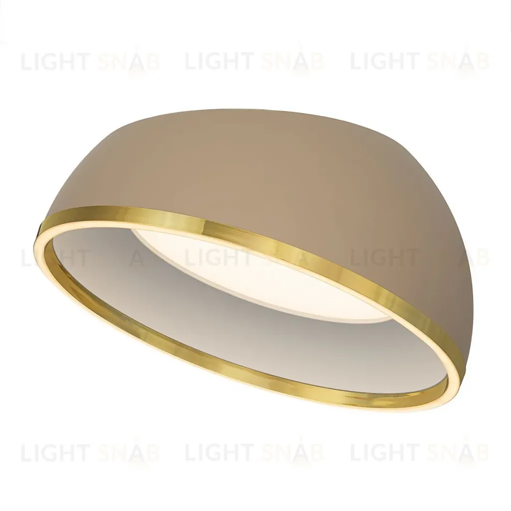Потолочный светильник Citilux Floom CL736152 CL736152