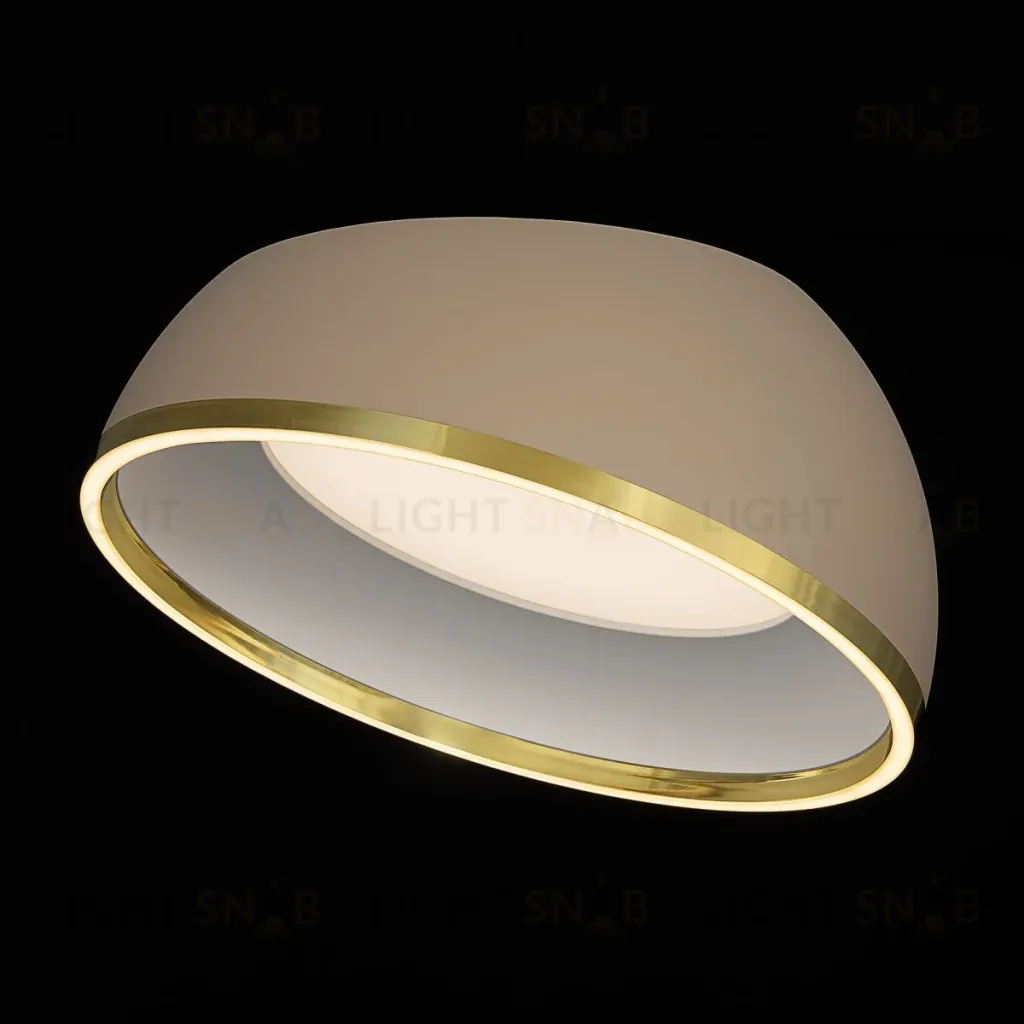 Потолочный светильник Citilux Floom CL736152 CL736152