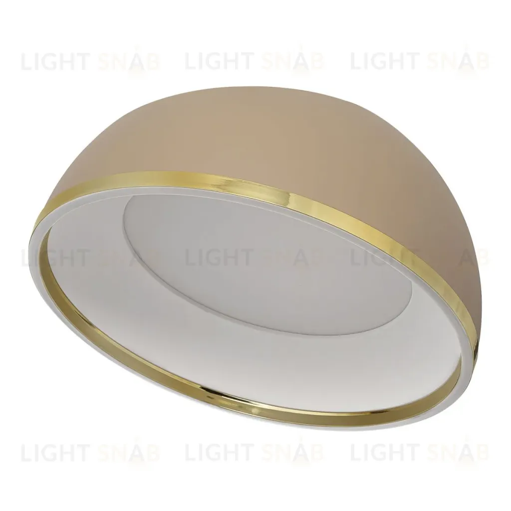 Потолочный светильник Citilux Floom CL736152 CL736152