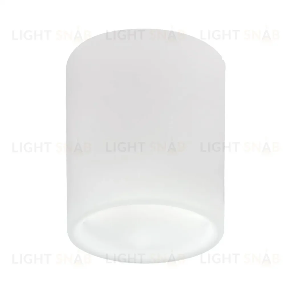 Накладной светильник Lightstar Solido E27 216626 216626