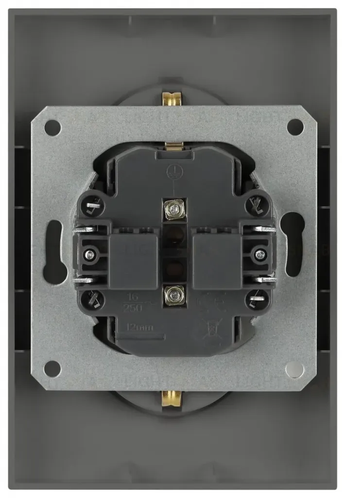 Розетка Эра Arktik 16-2105-06 двойная с заземлением 2X2P+E Schuko со шторками 16А-250В графит Б0070459 Б0070459