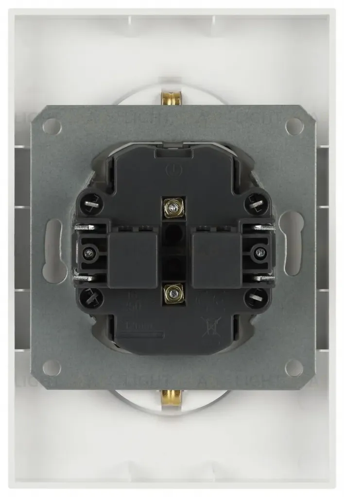 Розетка Эра Arktik 16-2107-04 без заземления двойная 2X2P 16А-250В шампань Б0071684 Б0071684