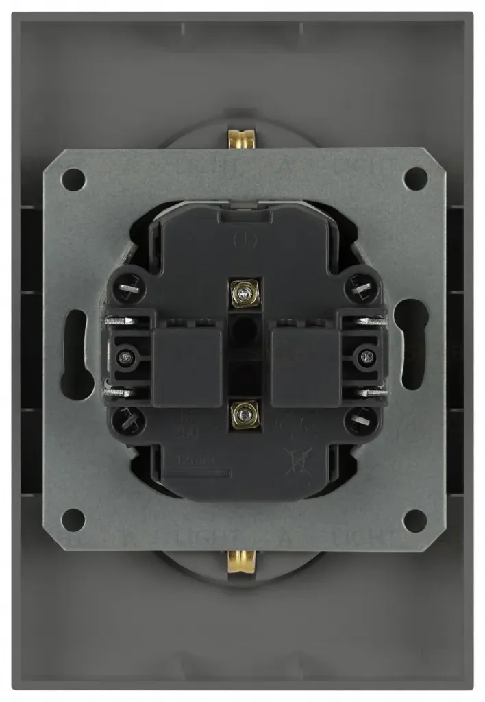 Розетка Эра Arktik 16-2107-06 без заземления двойная 2X2P 16А-250В графит Б0071686 Б0071686