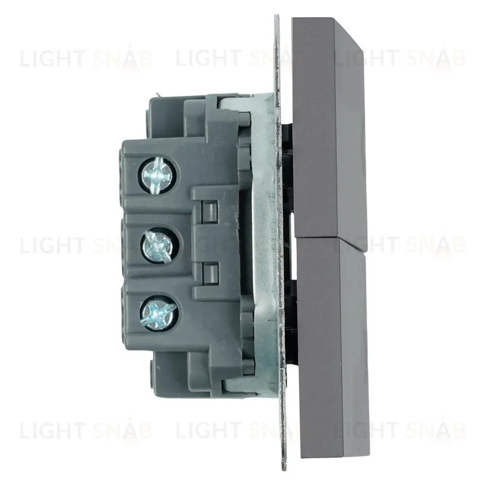 Выключатель двухклавишный Stekker Эмили RSW10-5116-10 платиново-серый soft touch 50823 50823