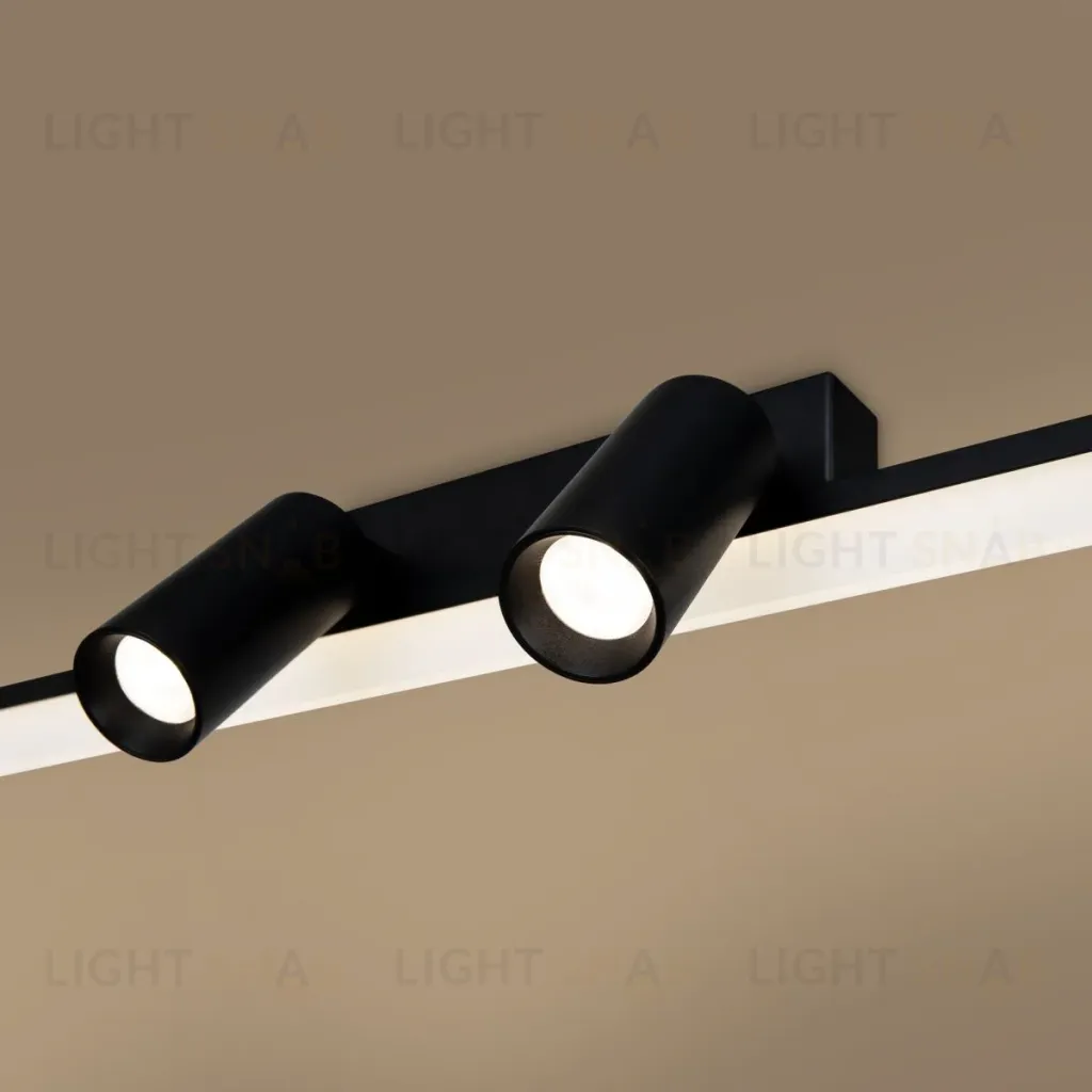 Потолочный светильник Freya Aspiration FR6120CL-L16B FR6120CL-L16B