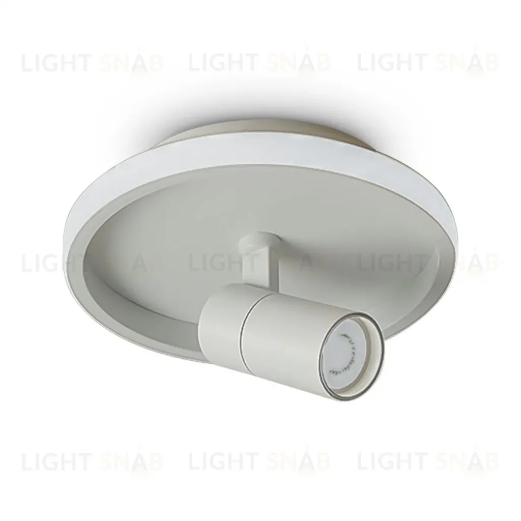 Потолочный светильник Freya Neo FR6040CL-L14W FR6040CL-L14W