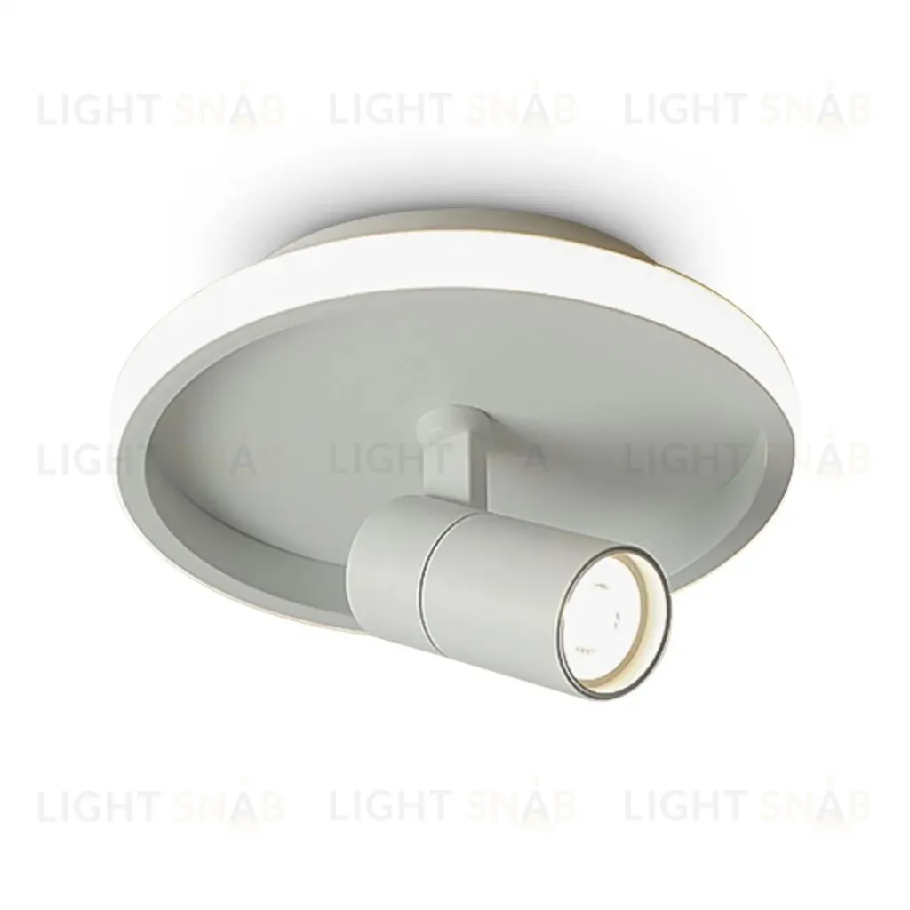 Потолочный светильник Freya Neo FR6040CL-L14W FR6040CL-L14W