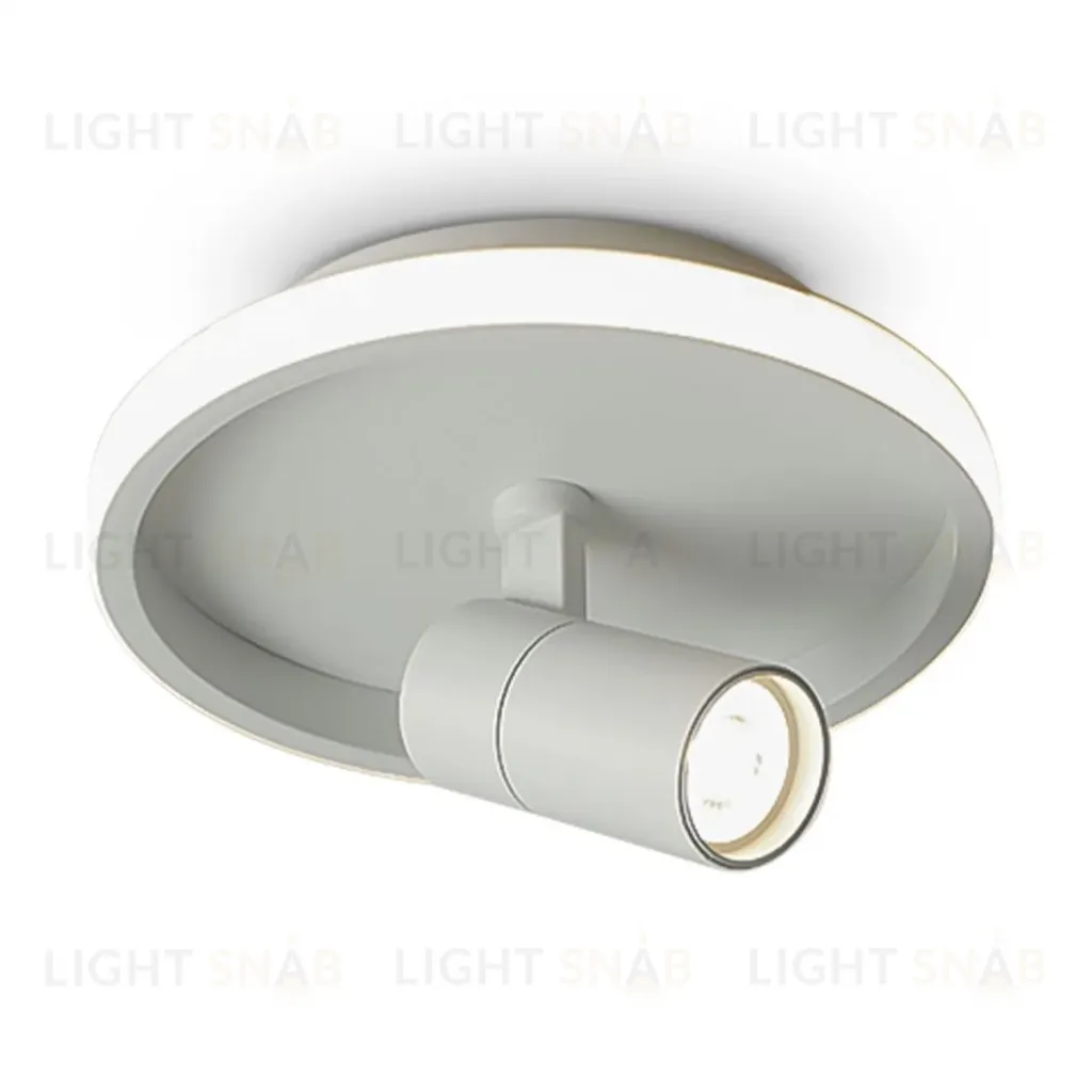 Потолочный светильник Freya Neo FR6040CL-L14W FR6040CL-L14W