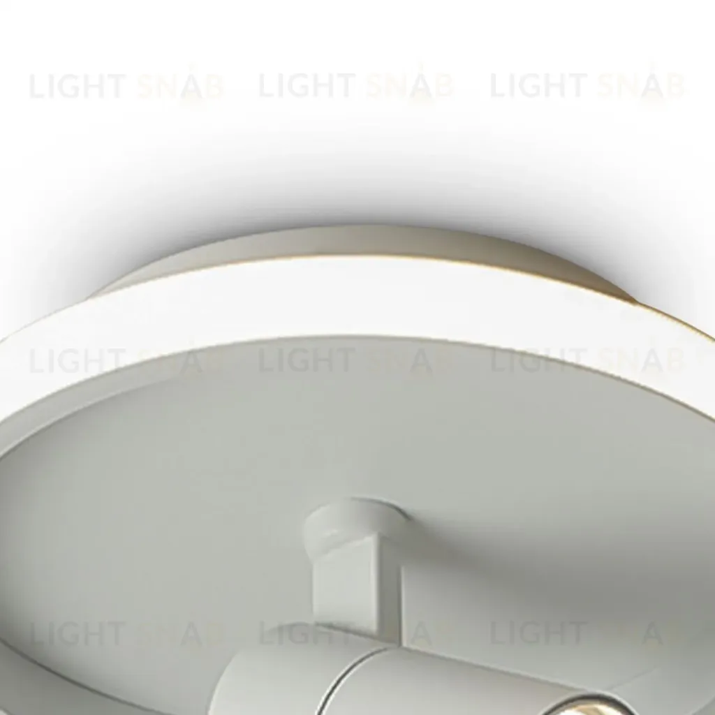 Потолочный светильник Freya Neo FR6040CL-L14W FR6040CL-L14W