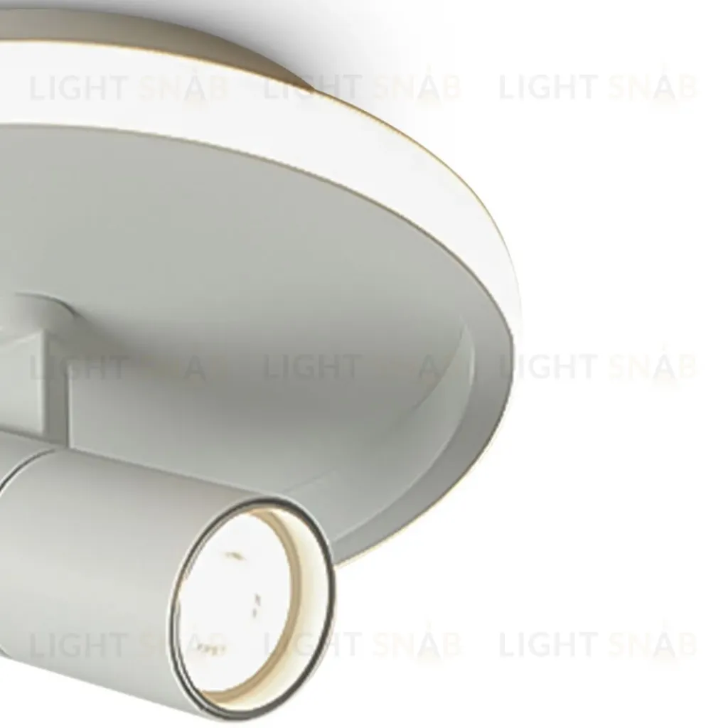 Потолочный светильник Freya Neo FR6040CL-L14W FR6040CL-L14W