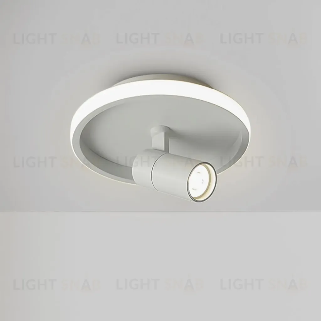 Потолочный светильник Freya Neo FR6040CL-L14W FR6040CL-L14W