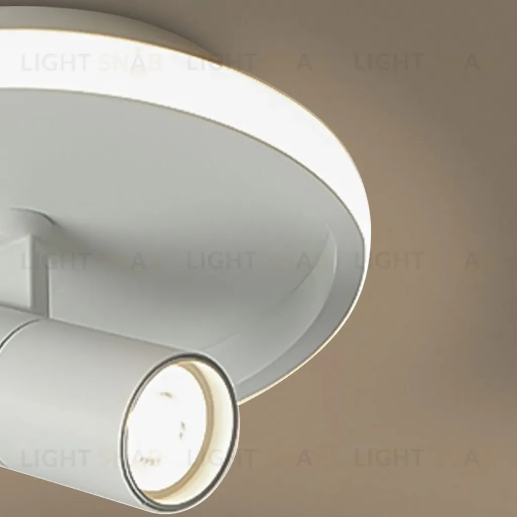 Потолочный светильник Freya Neo FR6040CL-L14W FR6040CL-L14W