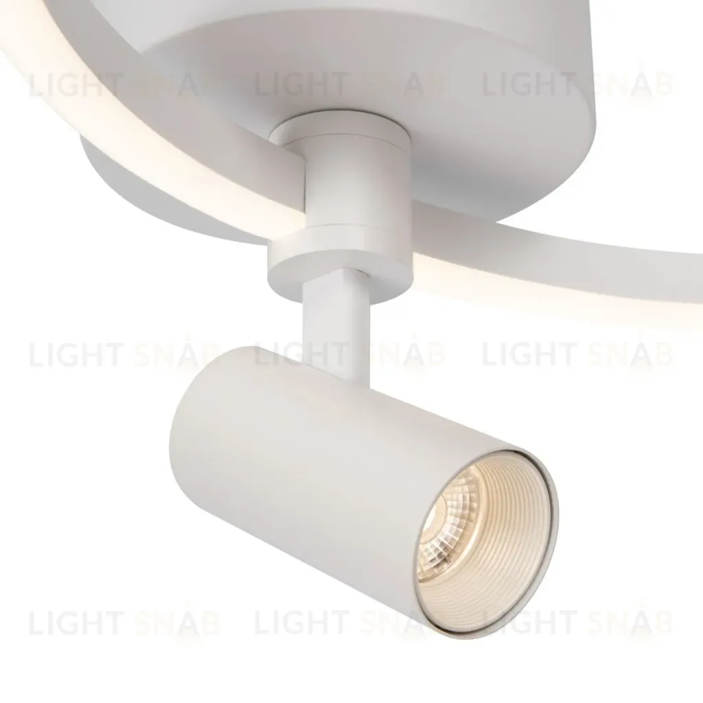 Потолочный светильник Freya Spotlights FR6083CL-L32W FR6083CL-L32W