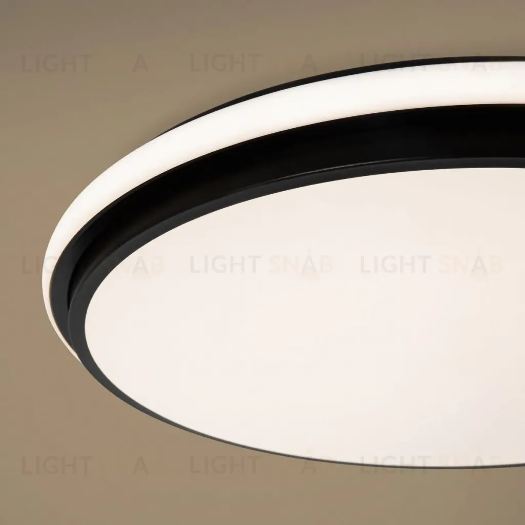 Потолочный светильник Freya Pie FR6086CL-L117B FR6086CL-L117B