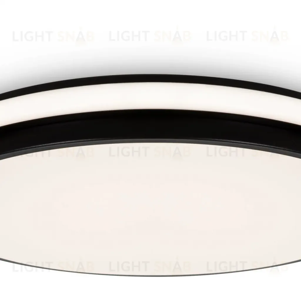 Потолочный светильник Freya Pie FR6086CL-L117B FR6086CL-L117B