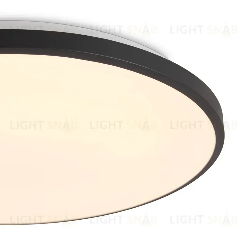 Потолочный светильник Freya Obelle FR6211CL-L24B FR6211CL-L24B