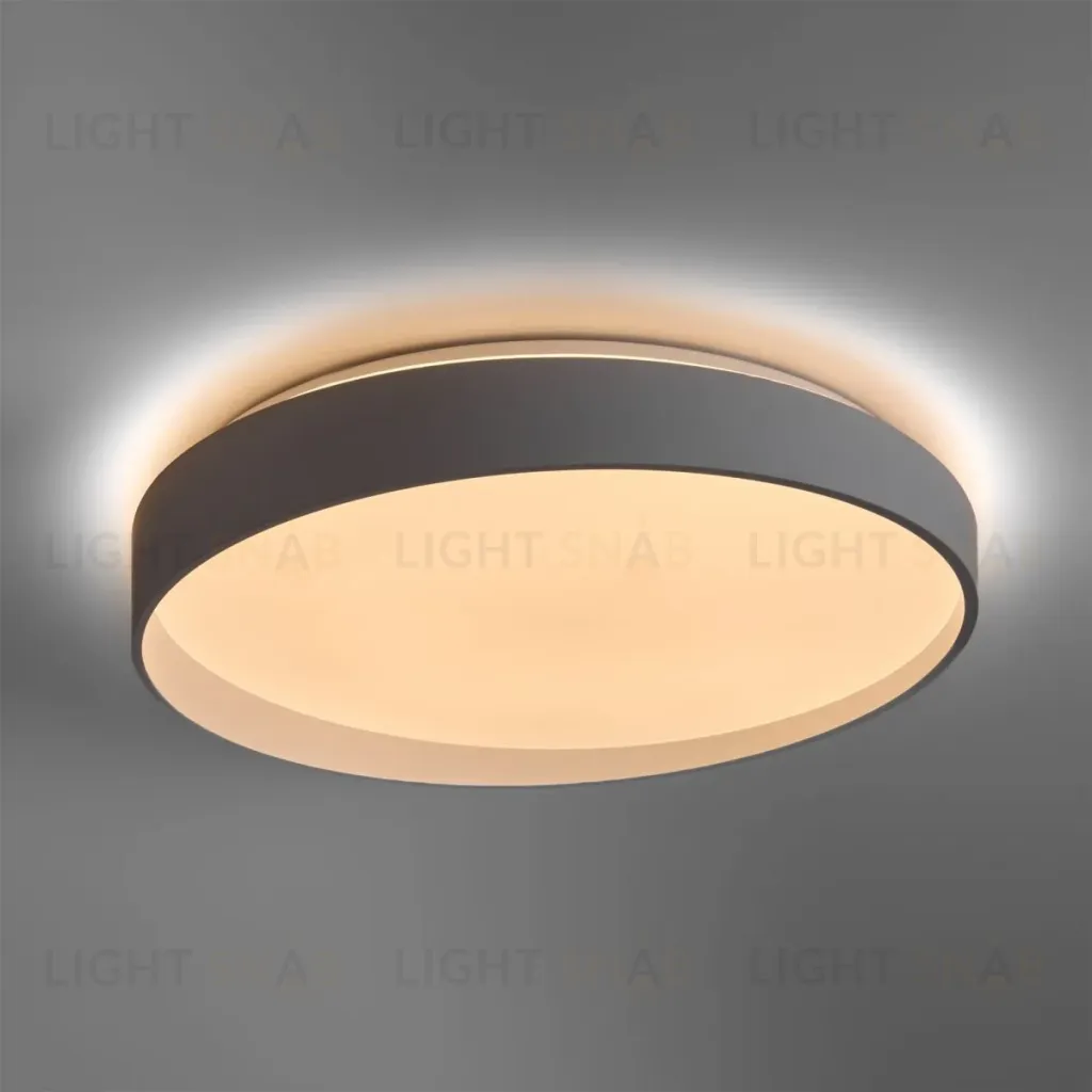 Потолочный светильник Freya Pass FR6222CL-L84W FR6222CL-L84W