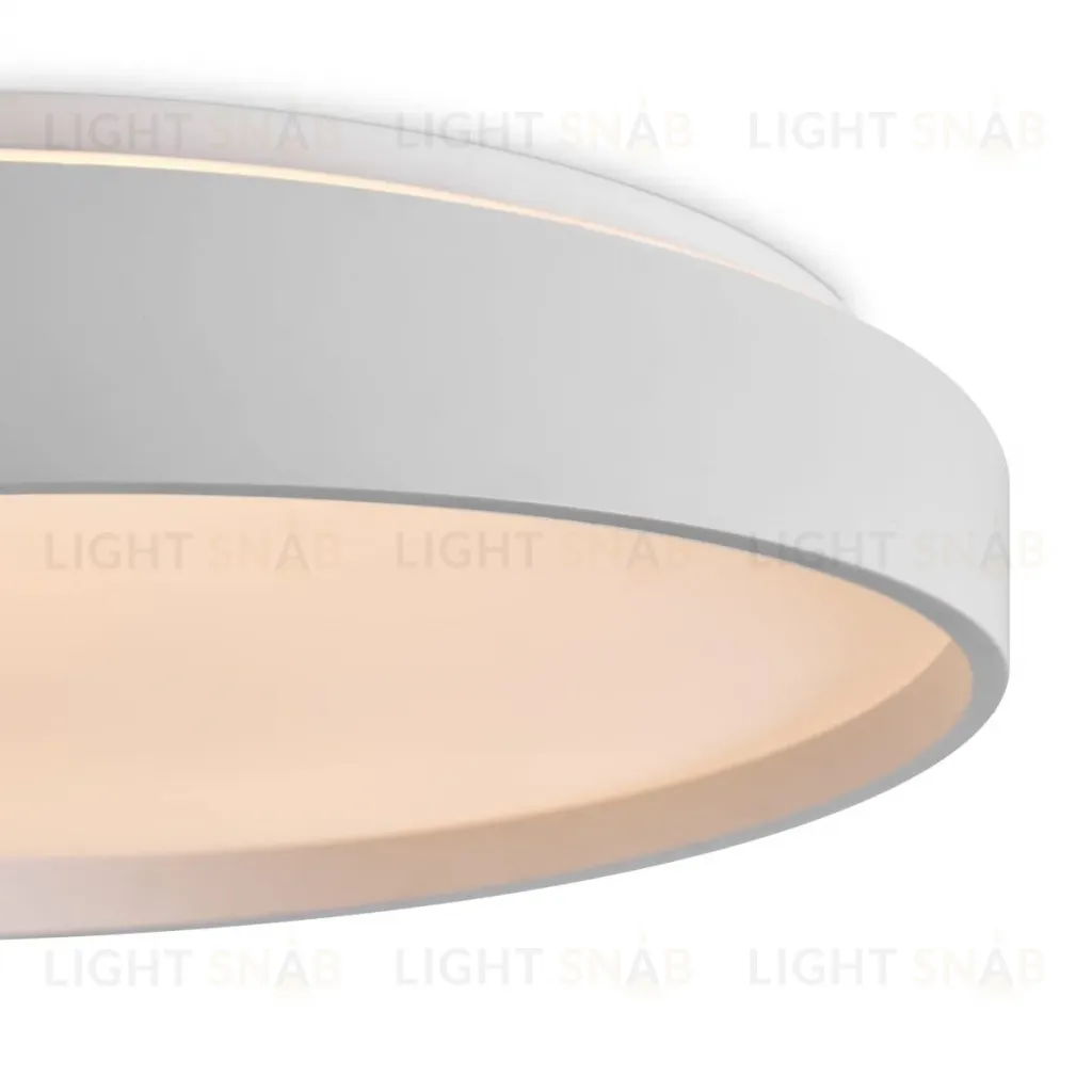 Потолочный светильник Freya Pass FR6222CL-L84W FR6222CL-L84W