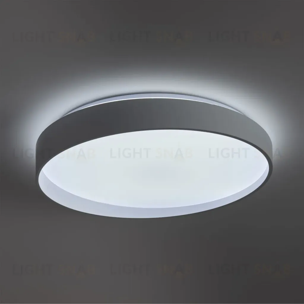 Потолочный светильник Freya Pass FR6222CL-L84W FR6222CL-L84W