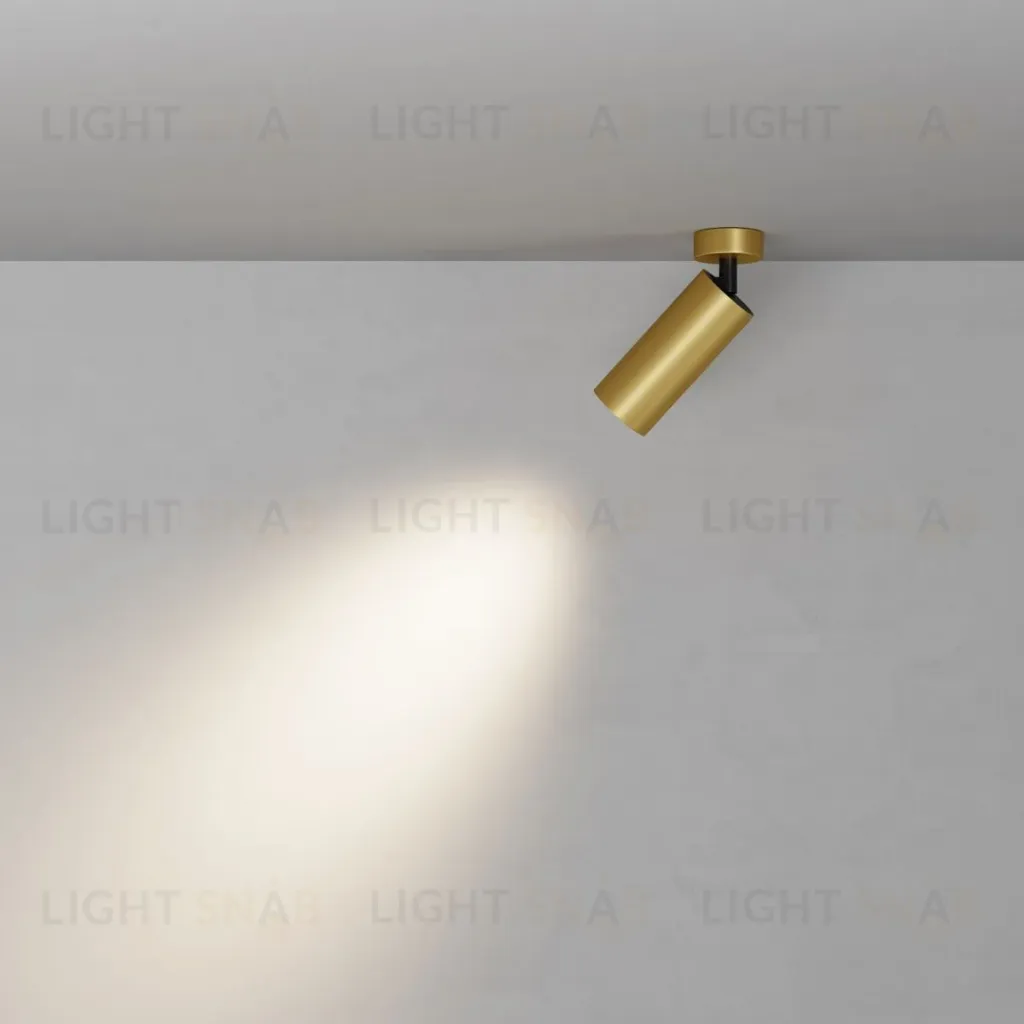 Потолочный светильник Maytoni Technical Focus C017CW-01MG-N C017CW-01MG-N