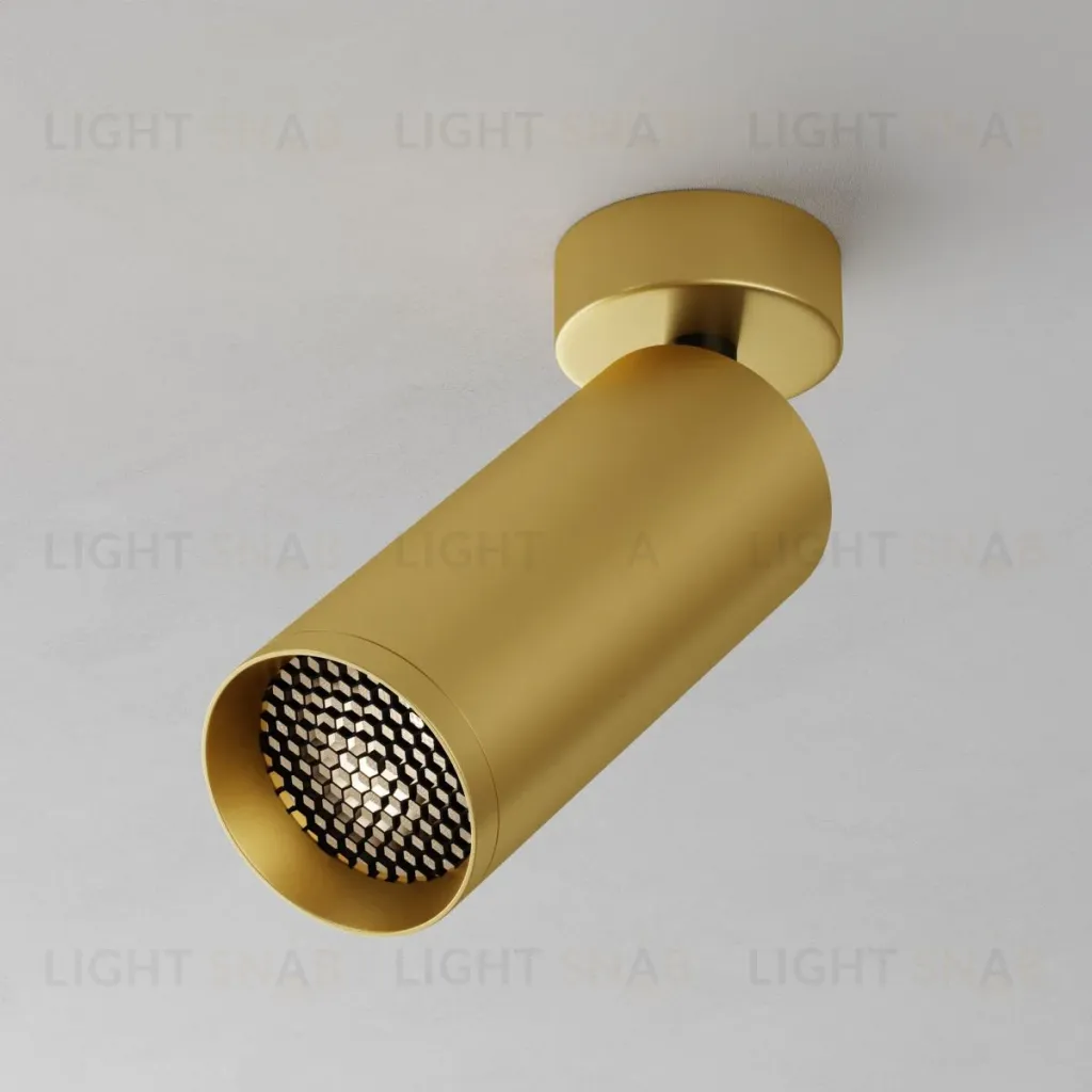 Потолочный светильник Maytoni Technical Focus C017CW-01MG-N C017CW-01MG-N