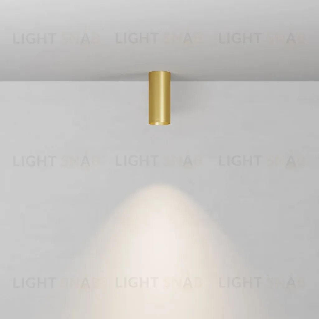 Потолочный светильник Maytoni Technical Focus C010CL-01MG-N C010CL-01MG-N