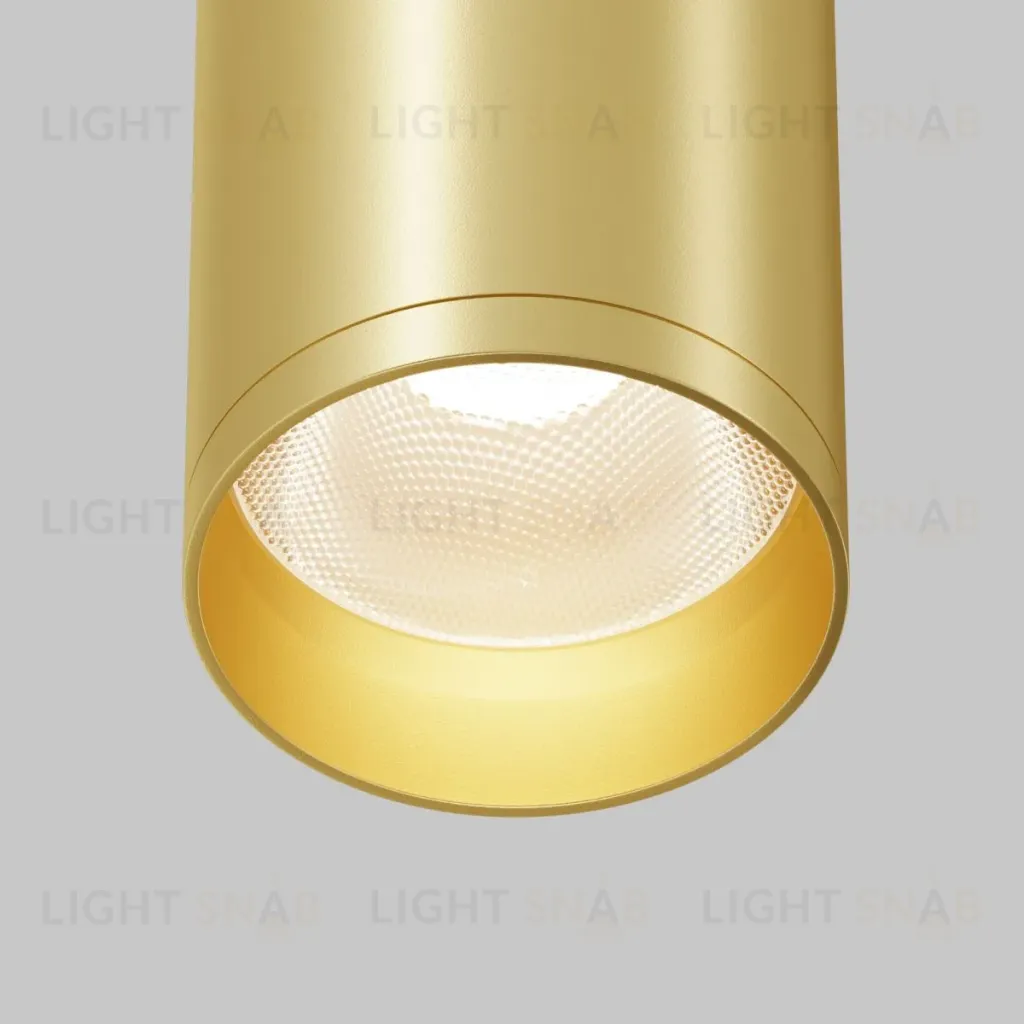 Потолочный светильник Maytoni Technical Focus C010CL-01MG-N C010CL-01MG-N