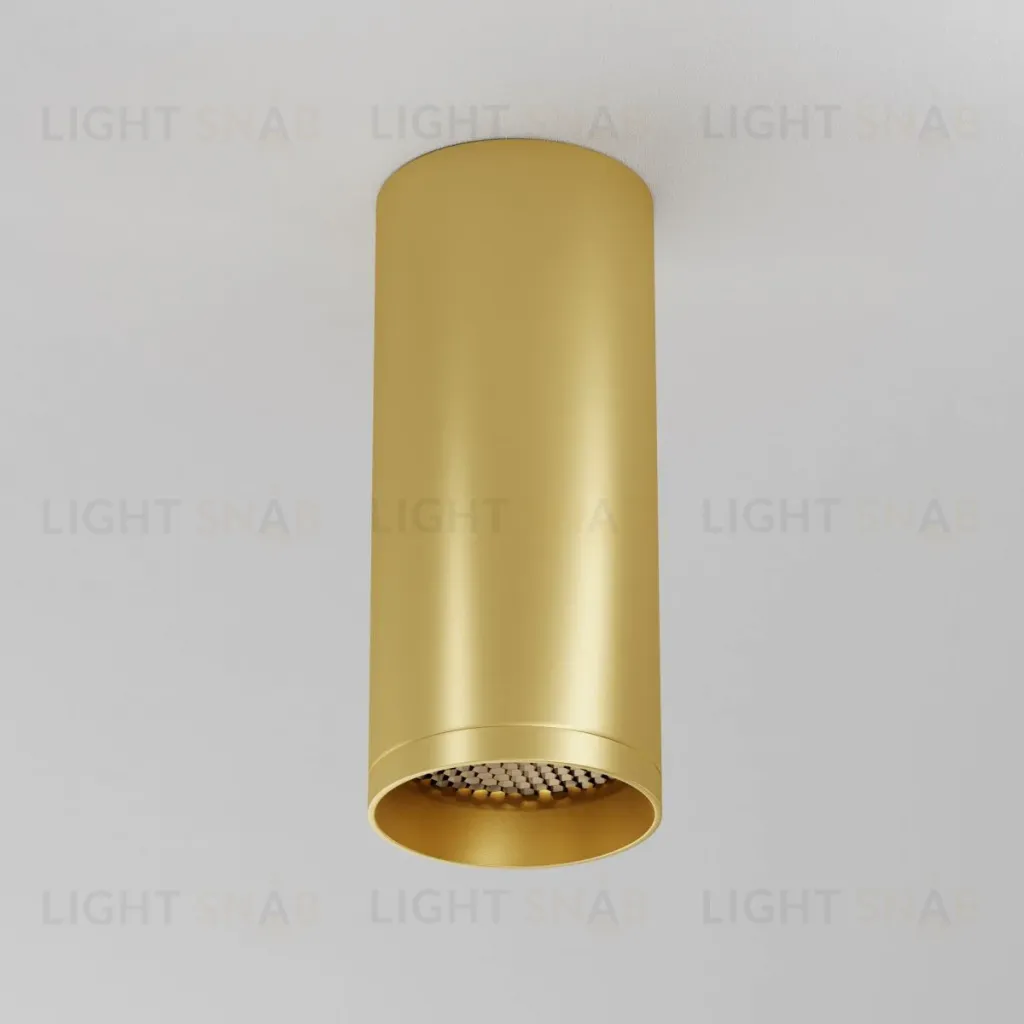 Потолочный светильник Maytoni Technical Focus C010CL-01MG-N C010CL-01MG-N