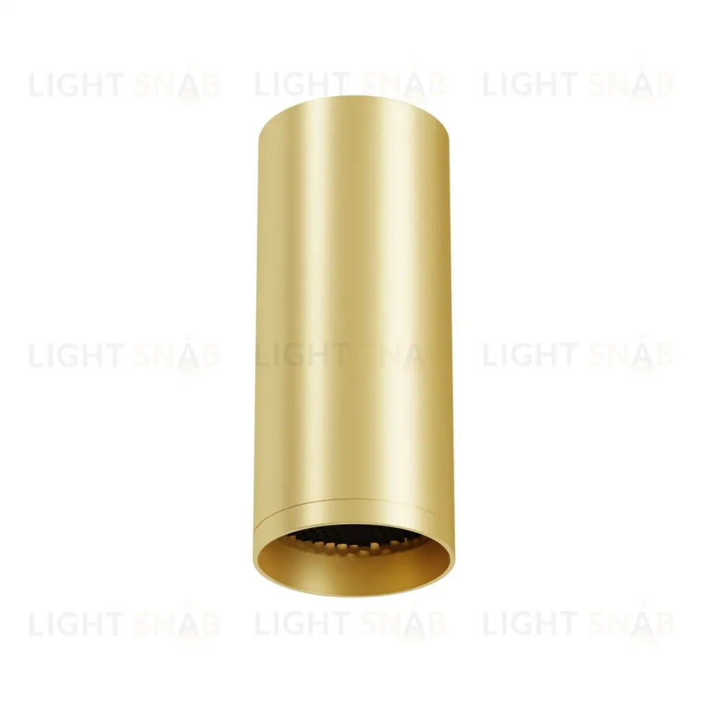 Потолочный светильник Maytoni Technical Focus C010CL-01MG-N C010CL-01MG-N