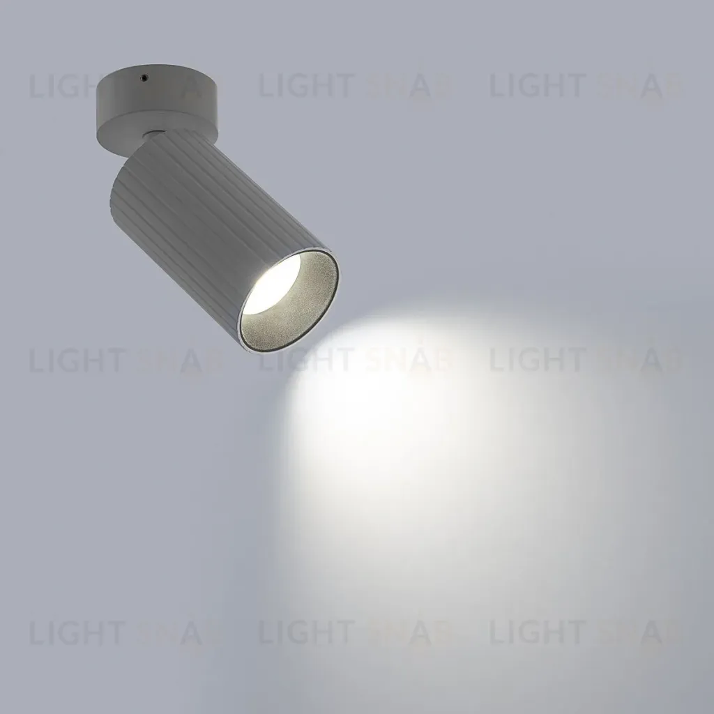 Накладной спот Citilux Axel CL512210R CL512210R