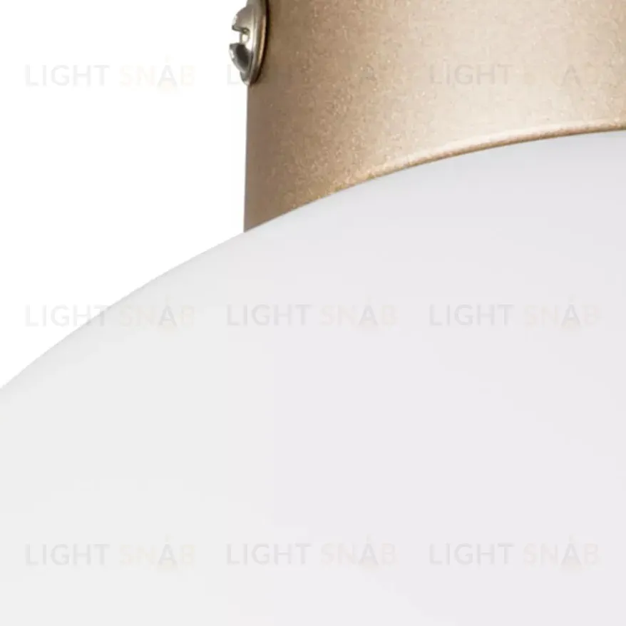 Потолочный светильник Lightstar Globo 812023 812023