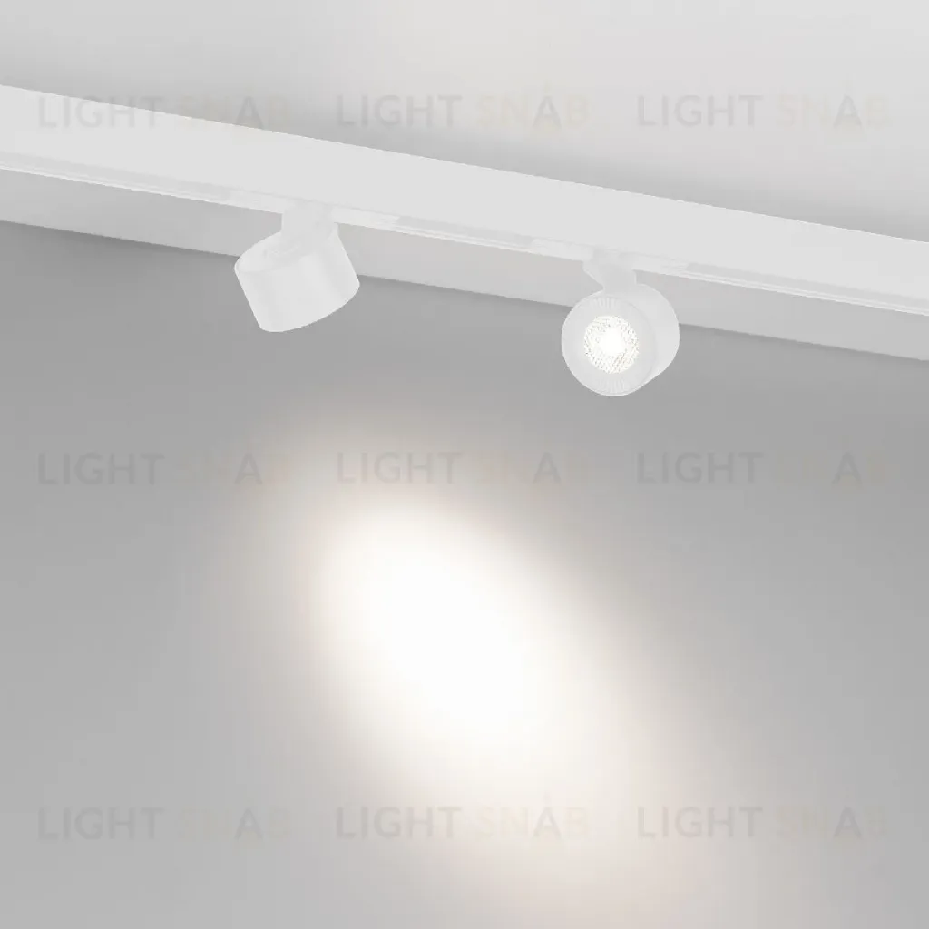 Трековый магнитный светильник Arlight MAG-ORIENT-POINT-R80-12W Day4000-MIX 048406 048406