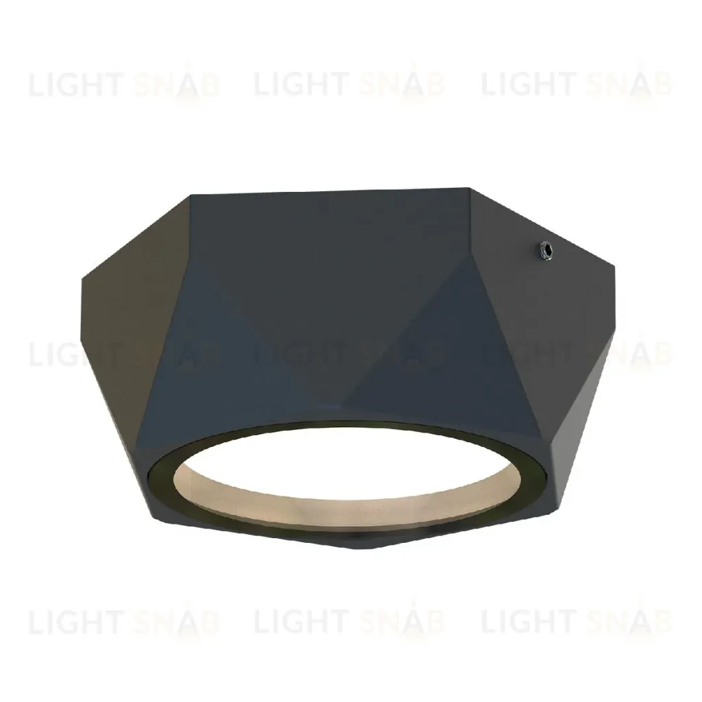 Уличный потолочный светильник Favourite Fantum 4670-1U 4670-1U