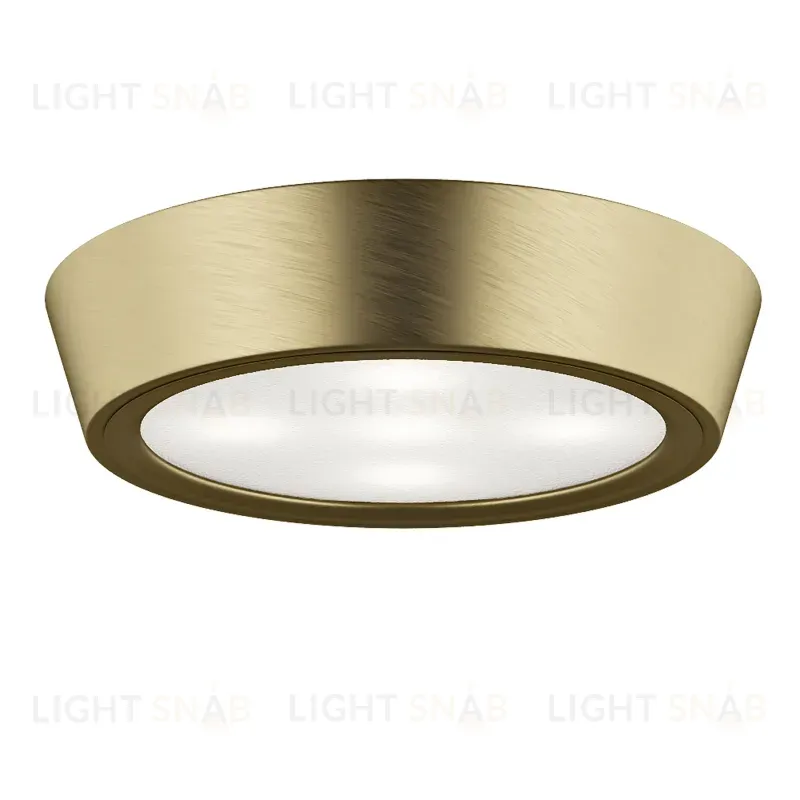 Потолочный светильник Lightstar Urbano Mini LED 214714 214714