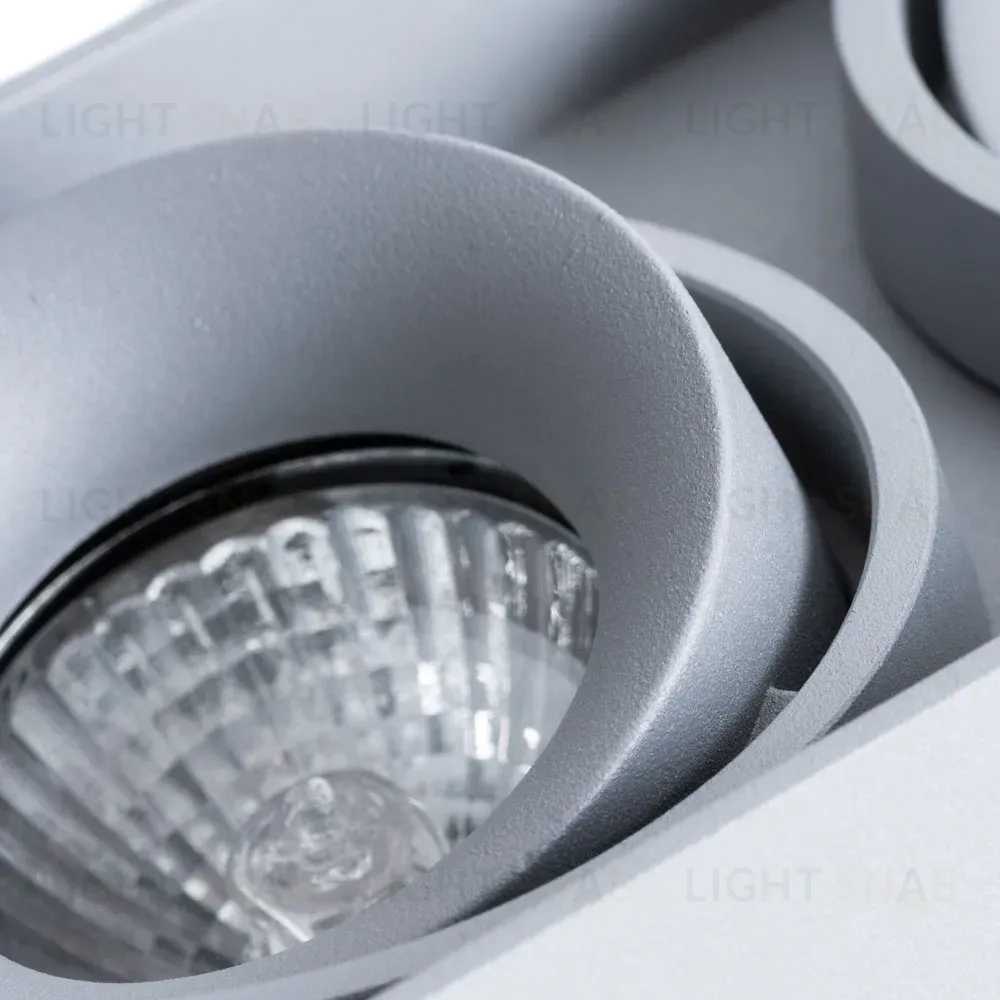 Потолочный светильник Arte Lamp Pictor A5654PL-2GY A5654PL-2GY