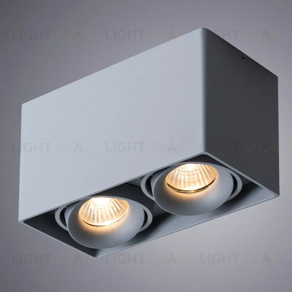 Потолочный светильник Arte Lamp Pictor A5654PL-2GY A5654PL-2GY