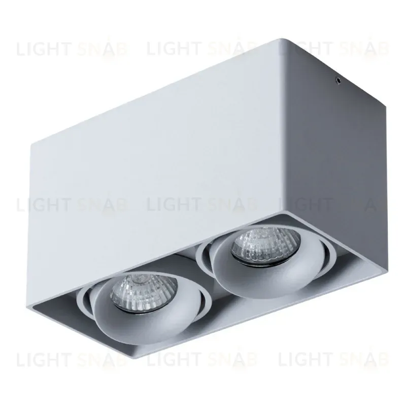 Потолочный светильник Arte Lamp Pictor A5654PL-2GY A5654PL-2GY