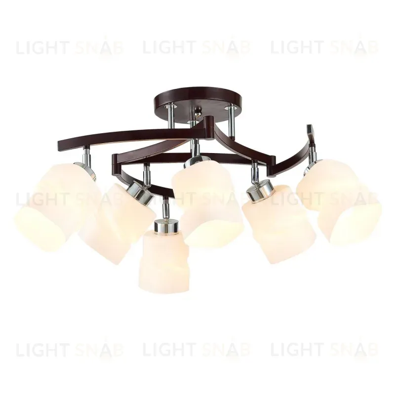 Люстра на штанге Citilux CL126162 CL126162