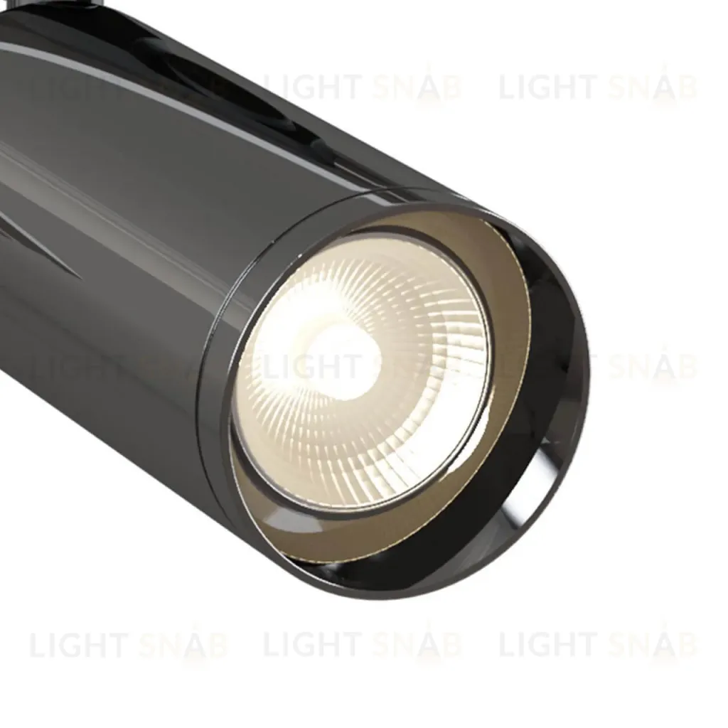 Трековый светильник Maytoni Track lamps TR004-1-GU10-GF TR004-1-GU10-GF