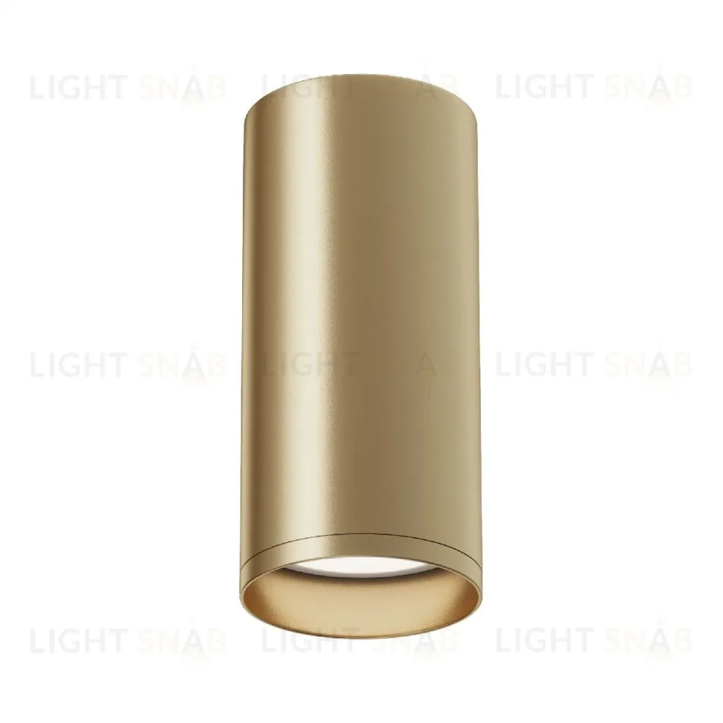 Потолочный светильник Maytoni Focus C010CL-01MG C010CL-01MG